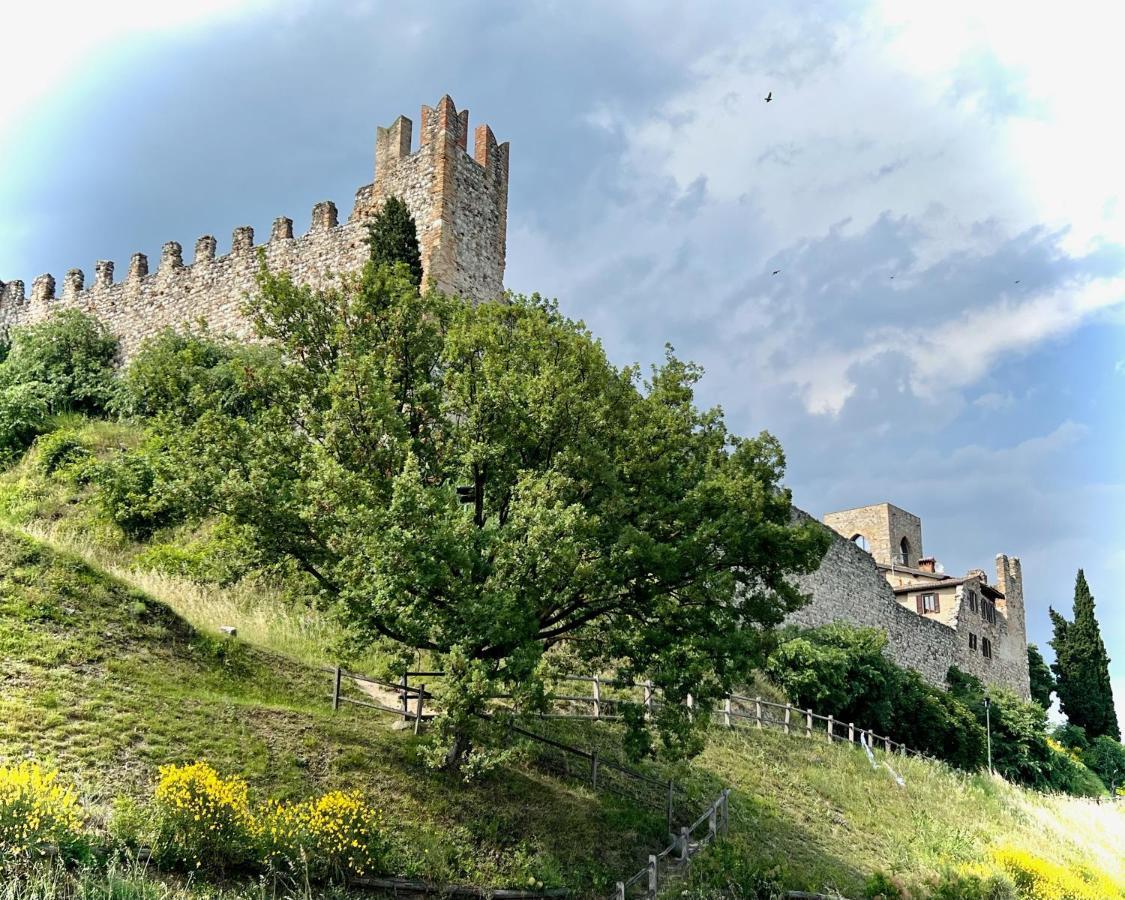 Appartamento Via Antica Padenghe sul Garda Bagian luar foto
